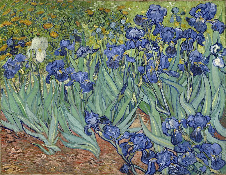 Cours Van Gogh