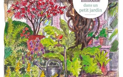 Carnet d’un voyageur immobile dans un petit jardin (Bernard)