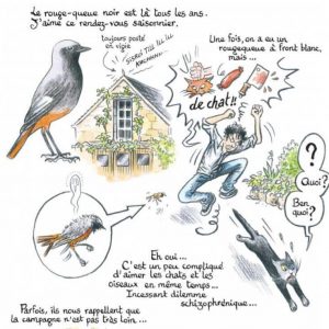 Les Jardins de la Culture. Jardins 15