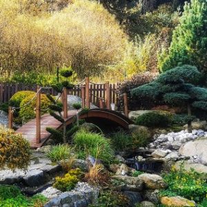 Les Jardins de la Culture. Jardins 4. Jardins chinois