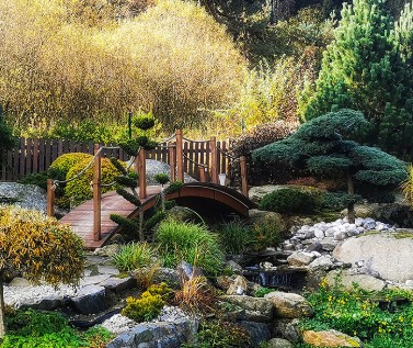 Les Jardins de la Culture. Jardins 4. Jardins chinois
