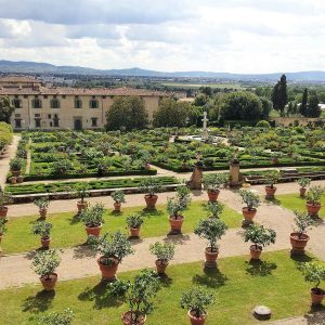 Les Jardins de la Culture. Jardins 11