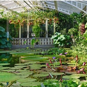 Les Jardins de la Culture. Jardins 17