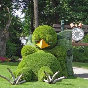 Les Jardins de la Culture. Jardins 20