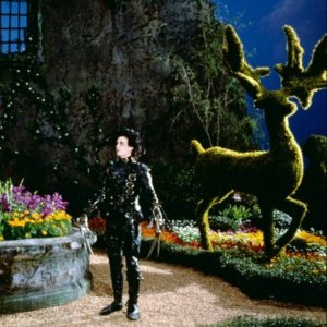 Les Jardins de la Culture. Jardins 7