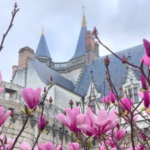 Les Jardins de la Culture. Jardins 19. Le tour du monde dans son jardin