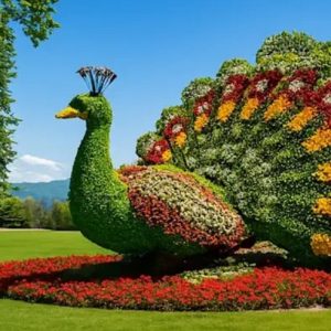 Les Jardins de la Culture. Jardins 17. Jardins en Allemagne