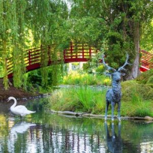 Les Jardins de la Culture. Jardins 7. Jardins japonais (2)