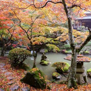 Les Jardins de la Culture. Jardins 6. Jardins japonais (1)
