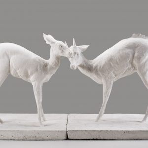 Visite guidée L'État sauvage au Mamcs